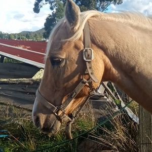 Meet your Posher, Tia